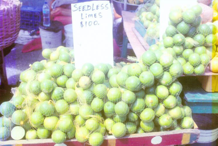 Limes