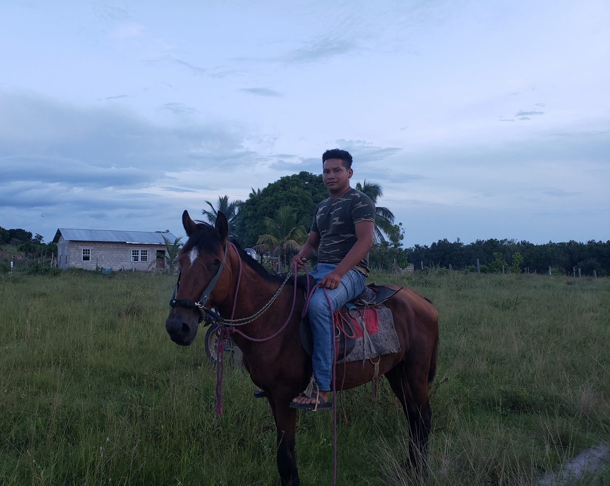 A Wapichan rancher going home after rounding up cattle in the Savannah 