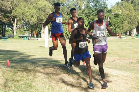 Cross country action in the 6km male junior event which was won by Calvin Williams (135). (Emmerson Campbell photo)