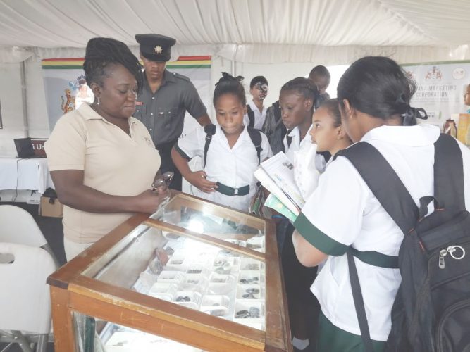 Students viewing precious stones on display at the GGMC booth