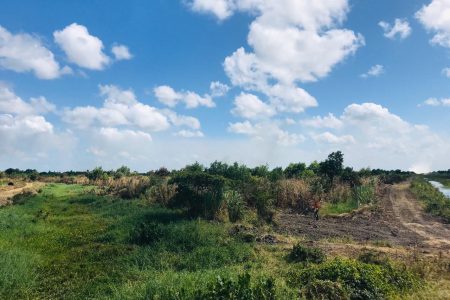 A view of the lands to be developed by Navigant Builders Inc. 