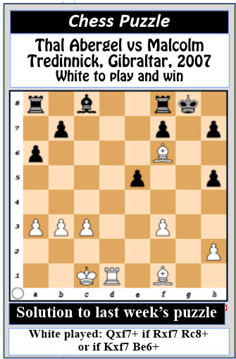 An Introduction to Chess: The Rooks, Knights and Bishops - Stabroek News