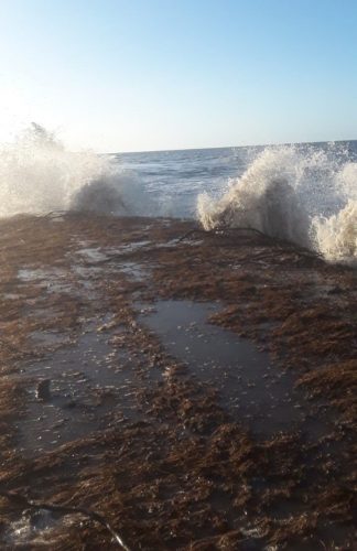 Waves from the Atlantic crashing over the eroding sea defence at Content, Mahaicony
