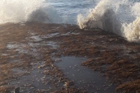 Waves from the Atlantic crashing over the eroding sea defence at Content, Mahaicony
