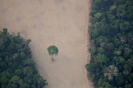 An aerial view shows a deforested plot of the Amazon near Porto Velho, Rondonia State, Brazil August 21, 2019. REUTERS/Ueslei Marcelino/File Photo
