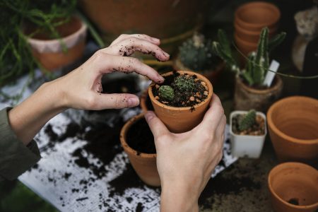 You may find that you have a green thumb if you explore gardening