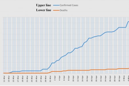 A Stabroek News chart shows the rise in the number of positive confirmed COVID-19 cases and the rise in the number of deaths related to the virus from March 11th, when the first case and death were announced, to May 7th.
