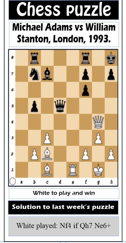 An Introduction to Chess: The Rooks, Knights and Bishops - Stabroek News