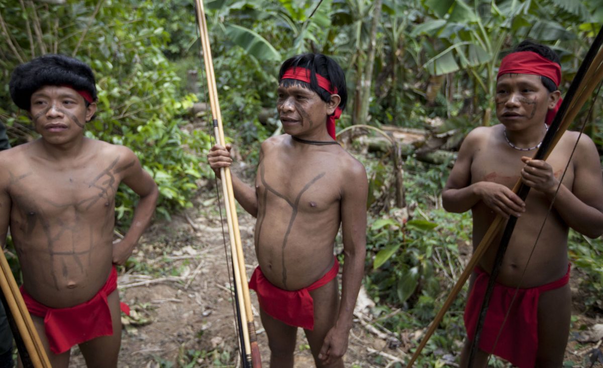 A member of the 35,000-strong Yanomami Tribe, became the first known indigenous person from the Amazon to die from COVID-19.
