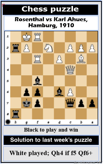 An Introduction to Chess: The Rooks, Knights and Bishops - Stabroek News