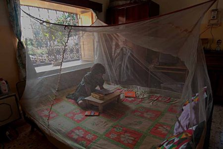 Reading under a mosquito net. Scientists have discovered in Anopheles arabiensis mosquitoes a fungus capable of blocking malaria transmission. Copyright: UNDP/Joydeep Mukherjee, (CC BY-NC-ND 2.0)

