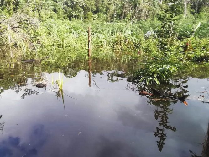 A section of one of the flooded farms 