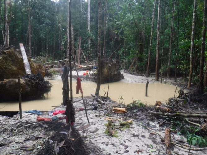 A mined area in the Iwokrama forest (Iwokrama photo)