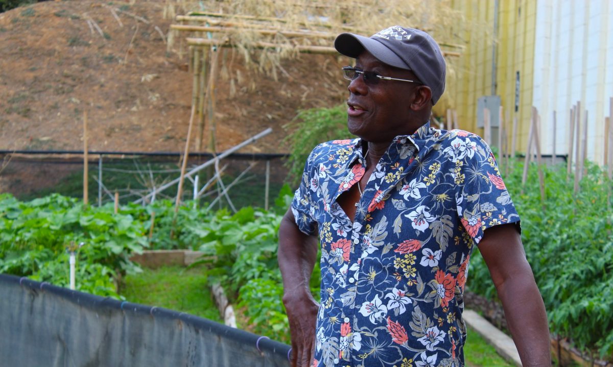 Prime Minister Dr Keith Rowley dispalys produce whic he harvested from his kitchen garden yesterday at his official residence, The Diplomatic Centre, St Ann’s. The image was posted to his Facebook page, stating – “I come here when I have a little time, sometimes late in the evening or very early in the morning. I do a lot of focussed thinking when I am tilling the soil and while I am planting.”Photo courstesy The Office of the Prime Minister.