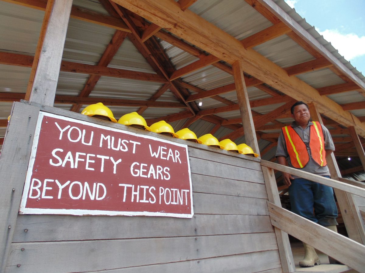 Emphasising safety first (Iwokrama photo)


  
 