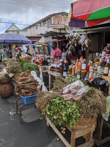 Bourda market bush remedies stall