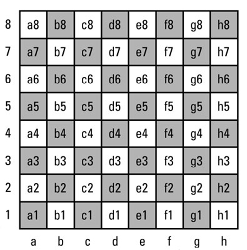 An Introduction to Chess: Revisiting the algebraic notation