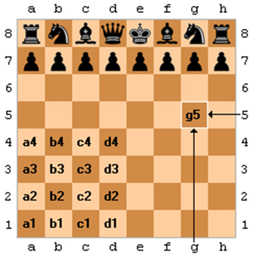 An Introduction to Chess: Revisiting the algebraic notation