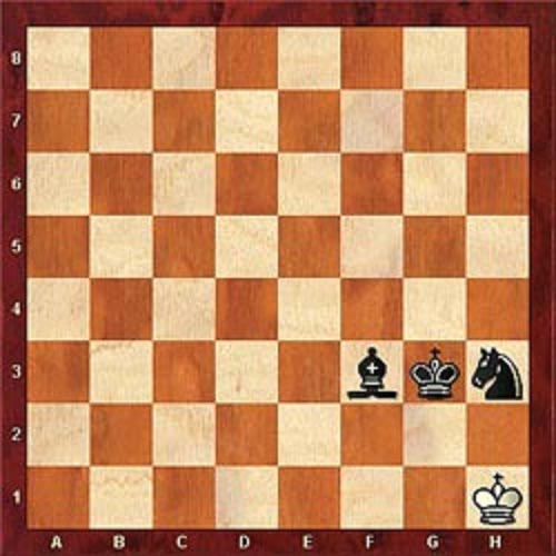 White has been checkmated! Black’s Bishop calls the check. White cannot get out. Two Kings cannot stand next to each other and black’s Knight controls the g8 square, which White cannot cross.
