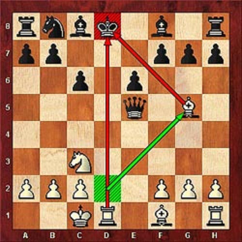 chess double check 
