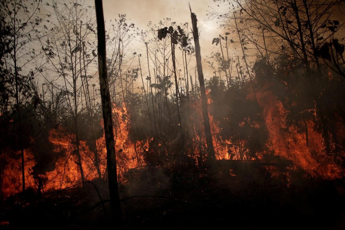 A burning tract of Amazon jungle is seen while as it is being cleared by loggers and farmers in Porto Velho, Brazil August 23, 2019. REUTERS/Ueslei Marcelino/File Photo