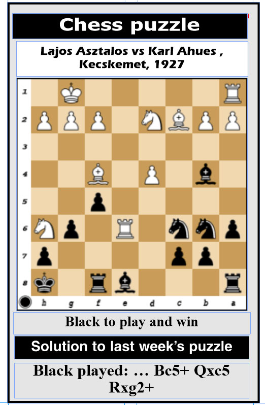 Using Chess Notation
