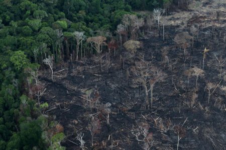 An aerial view of a tract of Amazon jungle after it was cleared by farmers in Itaituba, Para, Brazil September 26, 2019. REUTERS/Ricardo Moraes