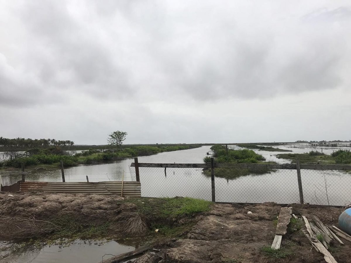 One of Donna Alphonso’s ponds flooded with salt water