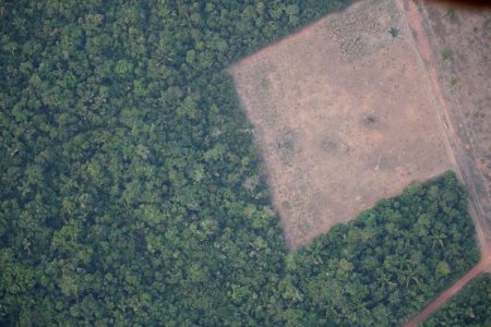 FILE PHOTO: An aerial view shows a deforested plot of the Amazon near Porto Velho
