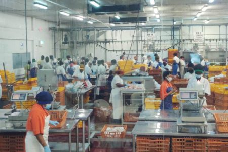 Inside Bounty Farm Limited’s factory