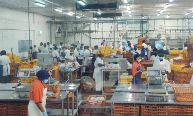 Inside Bounty Farm Limited’s factory