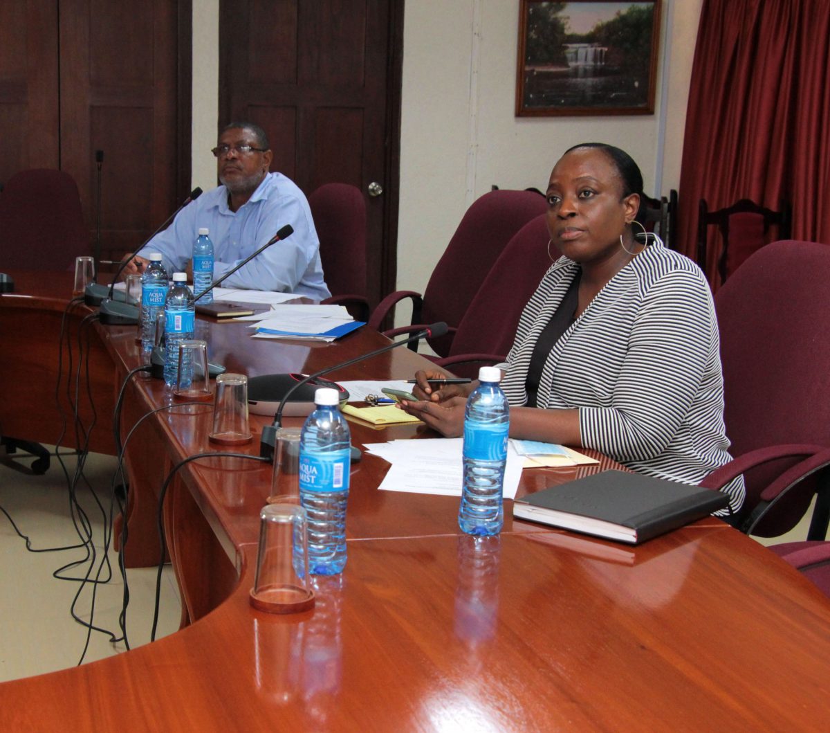 The Guyana/Brazil Frontier Committee meets via videoconference  (Foreign Affairs Ministry photo)
