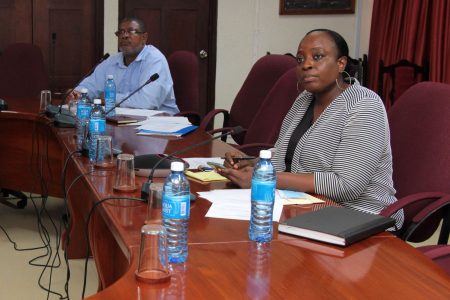 The Guyana/Brazil Frontier Committee meets via videoconference  (Foreign Affairs Ministry photo)
