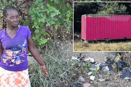 Carlean Hanson is a picture of distress outside her container home in Ensom Acres, Spanish Town, St catherine.