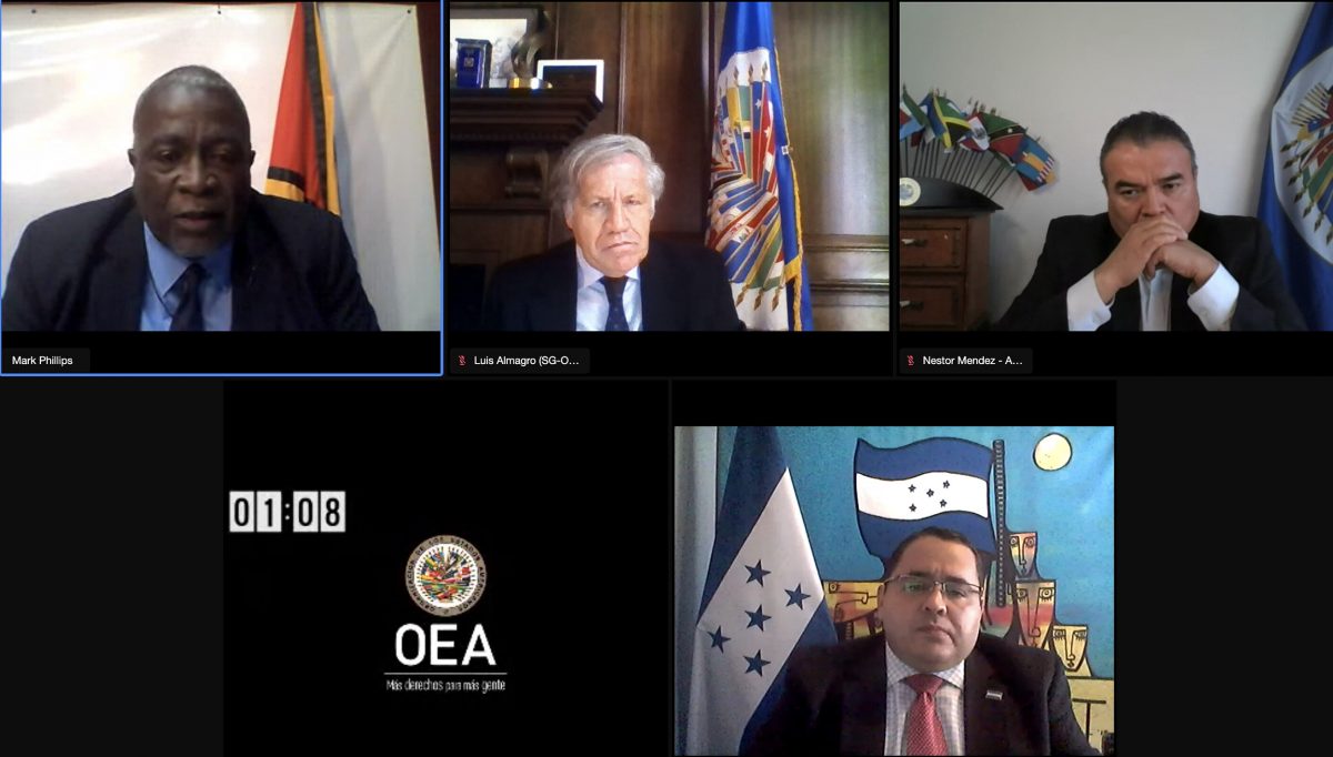 A screenshot of the OAS proceedings