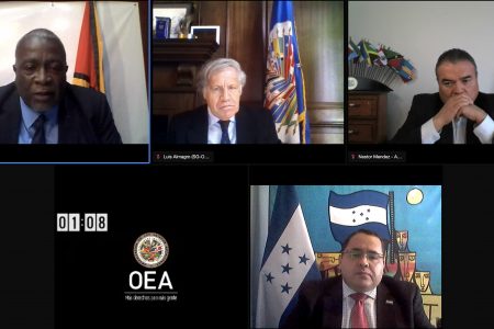 A screenshot of the OAS proceedings