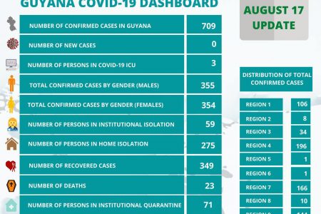The Ministry of Health’s August 17th dashboard
