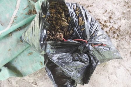 A quantity of cannabis which was found and destroyed
