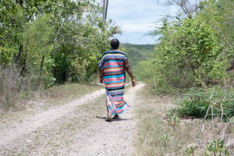 Traditionally a People’s National Party supporter, Rose Watkin, who in Landlease, Clarendon, will be breaking ranks with her partner and voting for the Jamaica Labour Party on September 3. Among her concerns is the lack of development in the area.