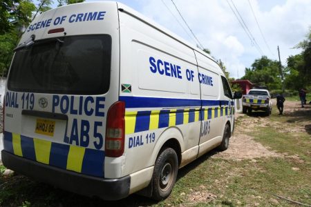 
Police investigators in Effortville, Clarendon where six men were killed during a police-military operation on August 2, 2020 - Gladstone Taylor photo