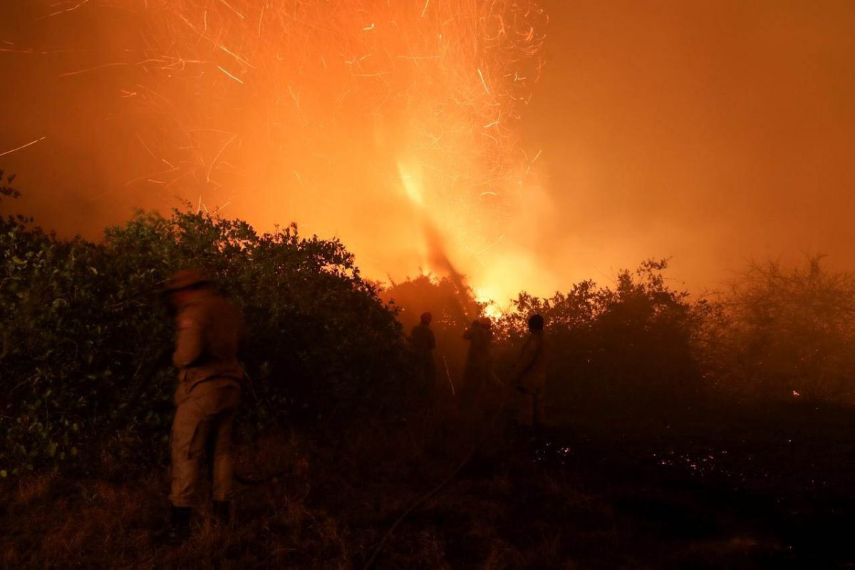 Firefighters work to extinguish fire at Pantanal, in Pocone, Mato Grosso state, Brazil, August 26, 2020. Picture taken August 26, 2020. REUTERS/Amanda Perobelli
