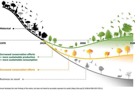 A study led by David Leclère and published in Nature argues that biodiversity loss can be reversed with increased conservation and sustainable production. (Credit: International Institute for Applied Systems Analysis)
