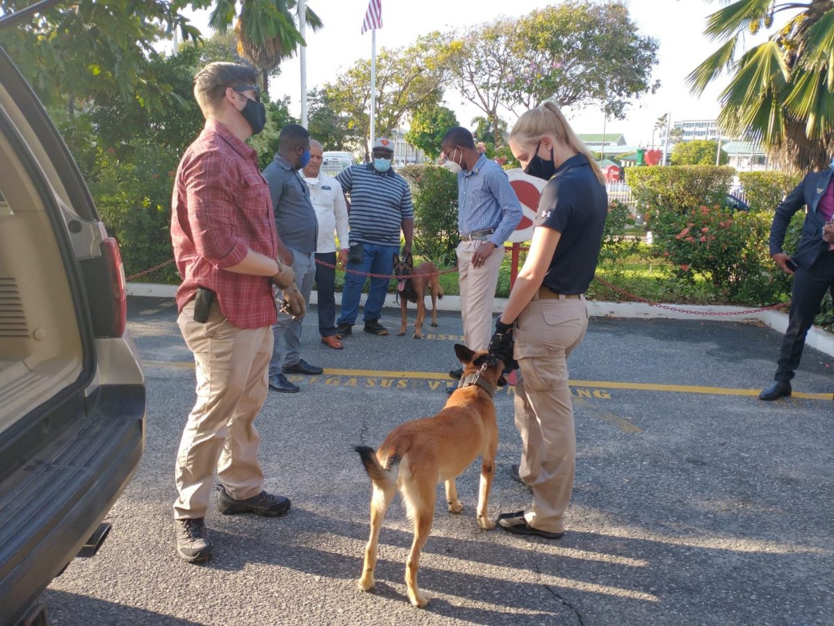 American and Guyanese canines getting acquainted prior to the arrival of US Secretary of State Mike Pompeo on Thursday.  The dogs were part of the security arrangements. (US Embassy photo)