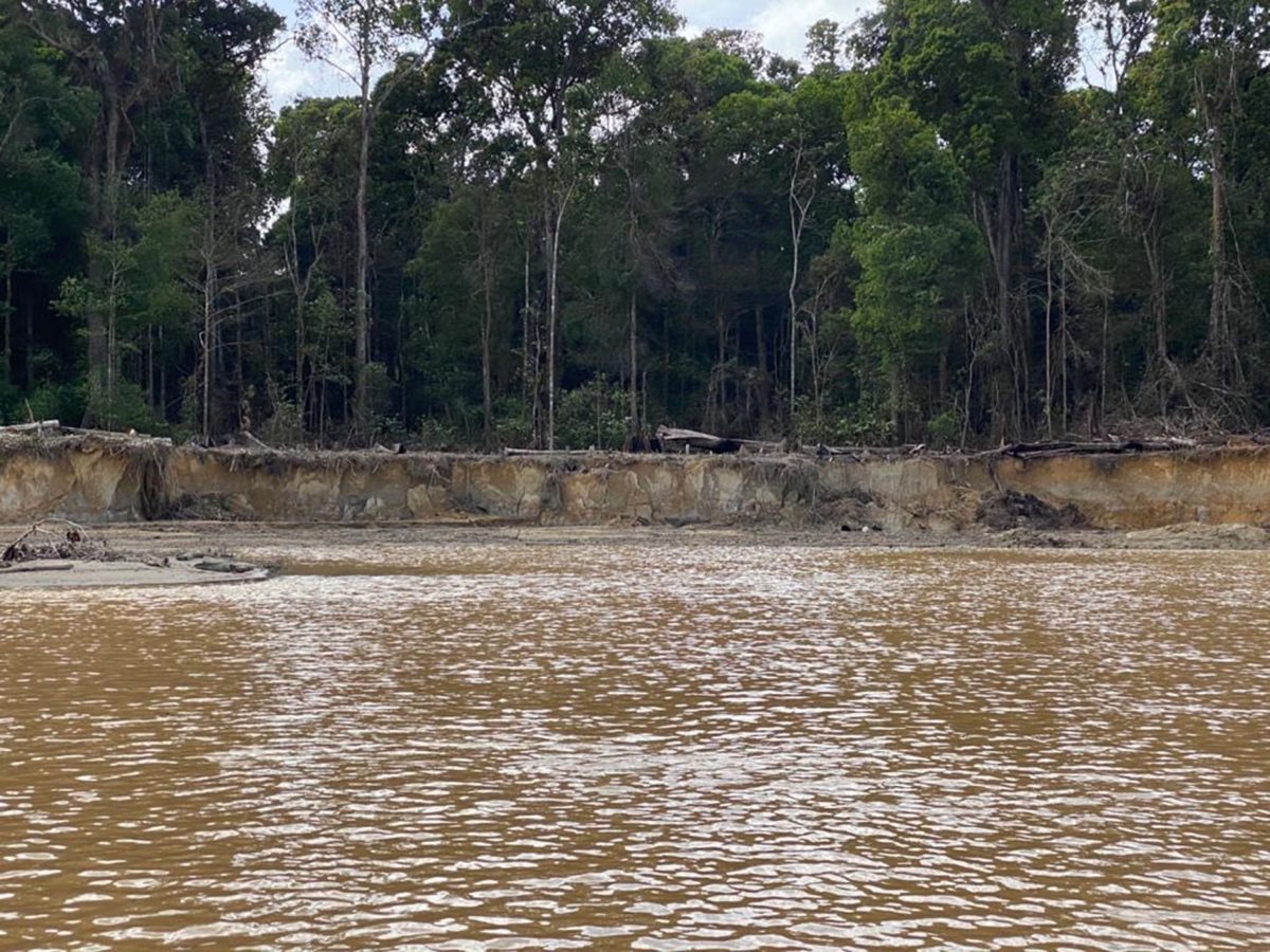 The damaged Cuyuni River bank (Ministry of Natural Resources photo)

