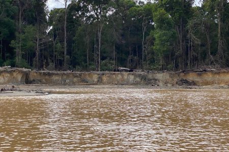The damaged Cuyuni River bank (Ministry of Natural Resources photo)
