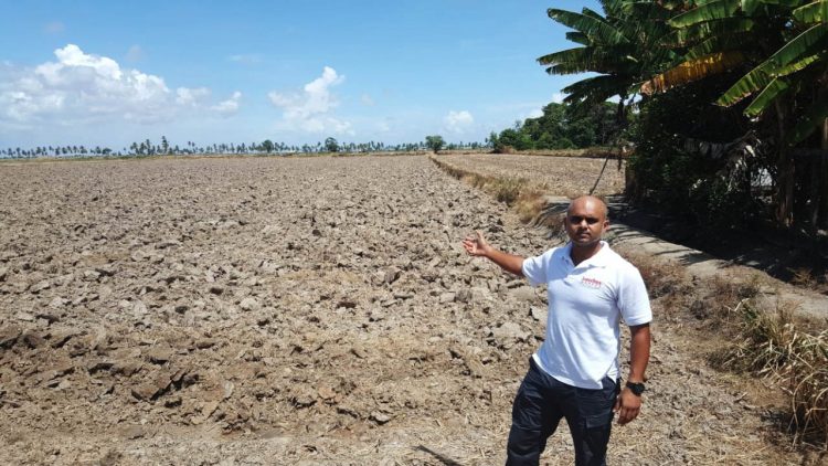 Aadil Bacchus at the Columbia, Essequibo land development site