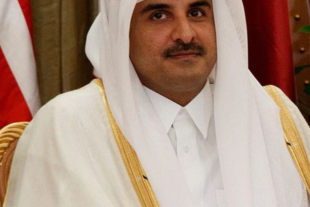 Sheikh Tamim bin
Hamad Al Thani 