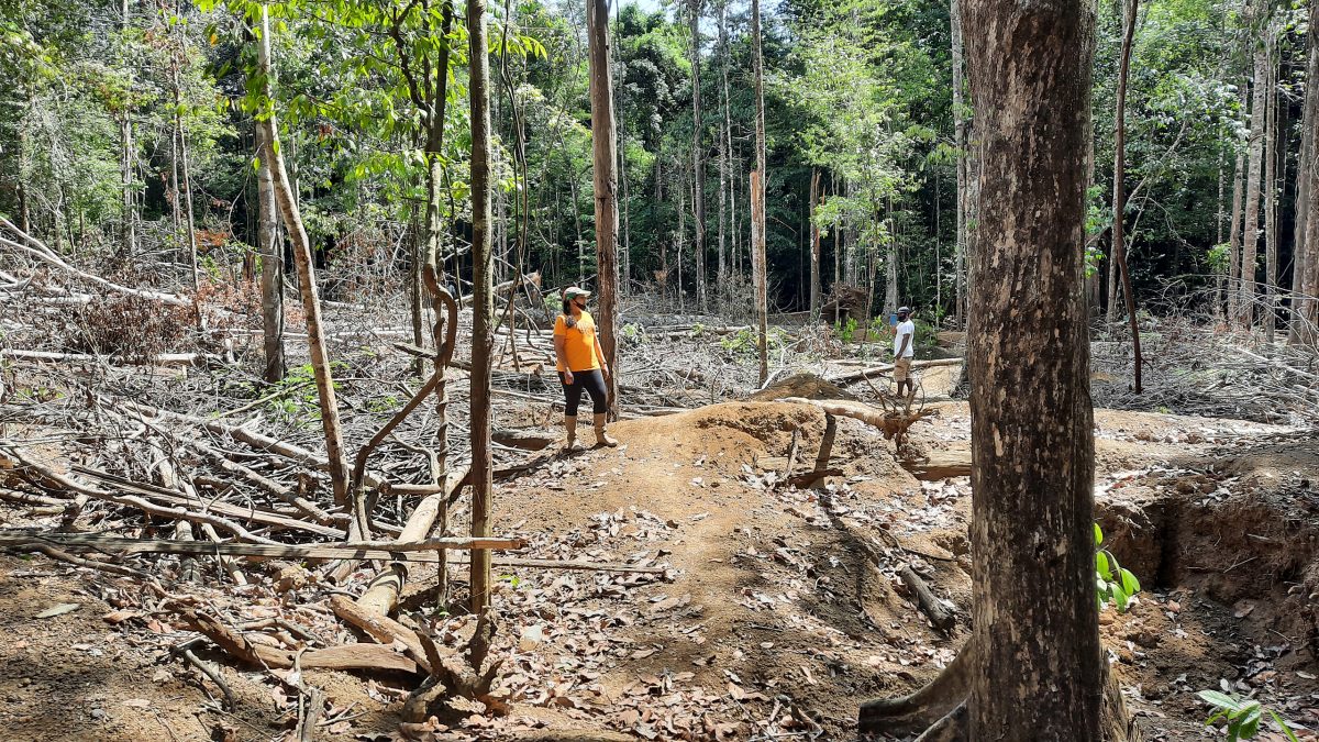 The Iwokrama International Centre has said that a monitoring team found significant damage and clear indications of preparations for further mining in the forest (Iwokrama International Centre photo)
