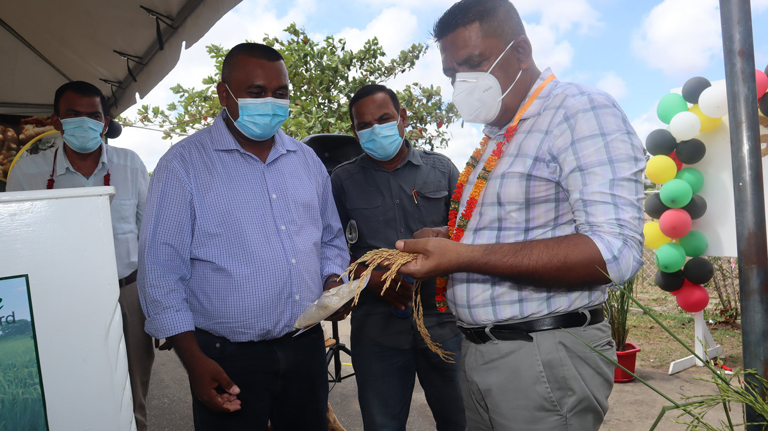 Agriculture Minister Zulfikar Mustapha Inspecting A Sample Of Guyanas