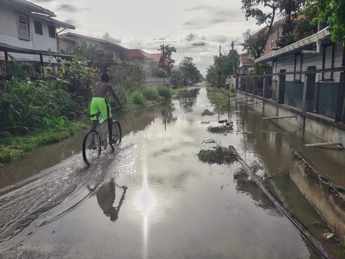 Running errands: This lad was riding through one of several flooded streets in Patentia, West Bank Demerara yesterday.